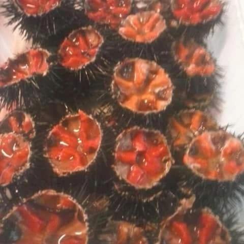 Dal Pescatore Appartamenti Savelletri ภายนอก รูปภาพ