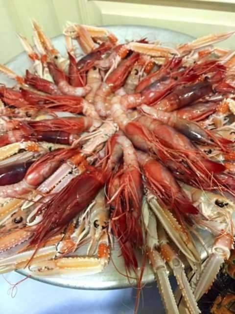 Dal Pescatore Appartamenti Savelletri ภายนอก รูปภาพ