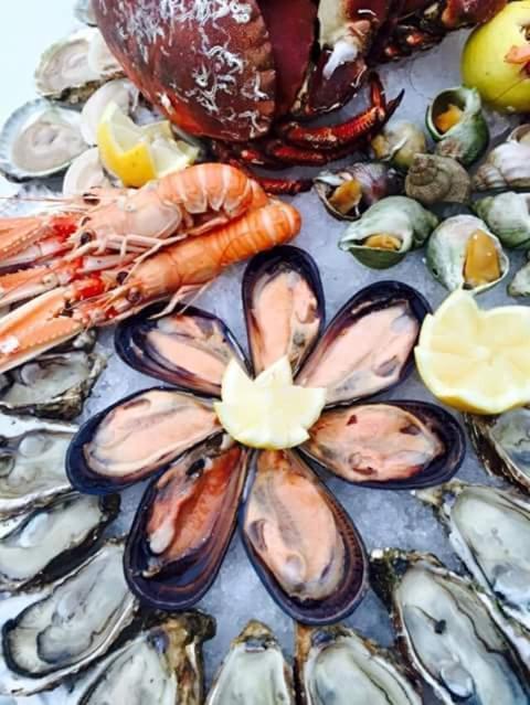 Dal Pescatore Appartamenti Savelletri ภายนอก รูปภาพ